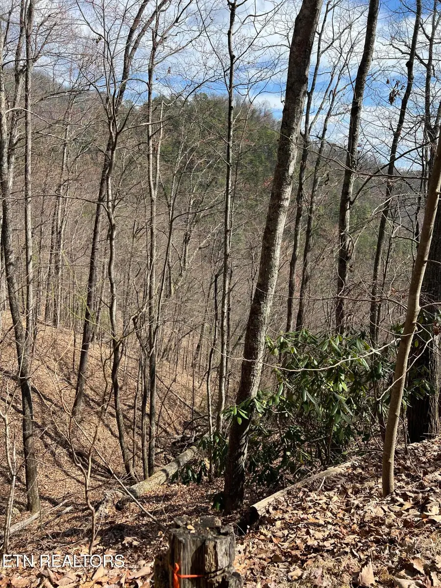 0 Aintree Drive, Sevierville, TN 37876 - #3