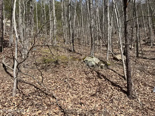 0 Clingmans View, Sevierville, TN 37876