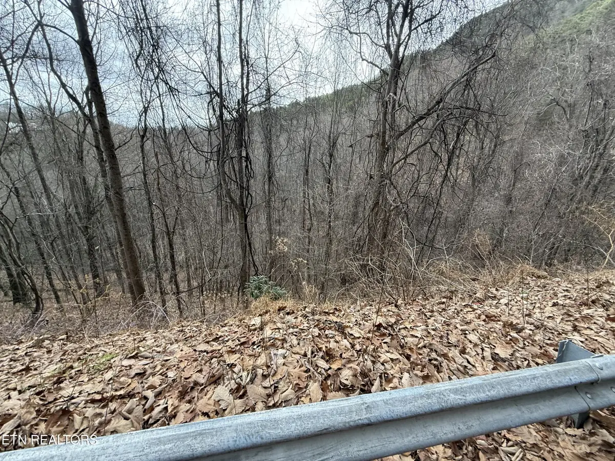 34 Alpine Drive, Sevierville, TN 37876 - #1