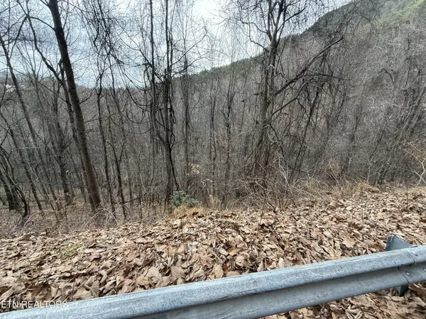 34 Alpine Drive, Sevierville, TN 37876