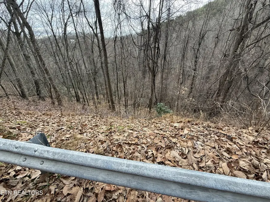 34 Alpine Drive, Sevierville, TN 37876 - #2