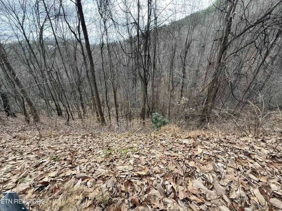 34 Alpine Drive, Sevierville, TN 37876 - #3
