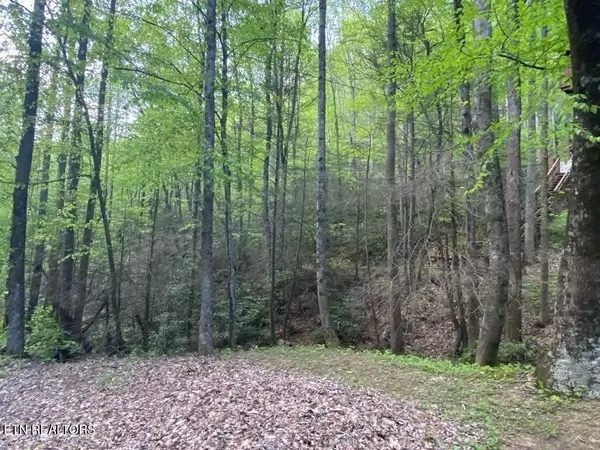 26 Alpine Drive, Sevierville, TN 37876