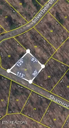 87 Shamrock Place, Sevierville, TN 37876