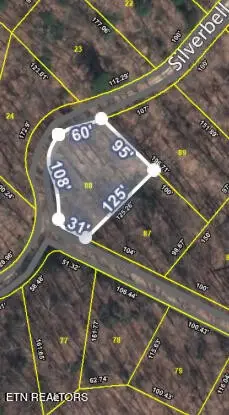 88 Silverbell Drive, Sevierville, TN 37876