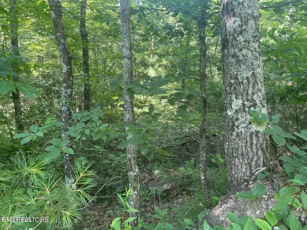71 Hazelnut Lane, Sevierville, TN 37876
