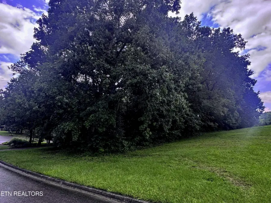 0 Boxwood Lane, Sevierville, TN 37862 - #3