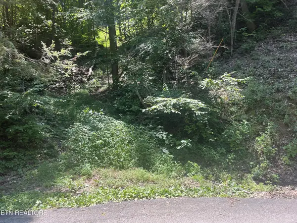331 Ridgefield Drive, Sevierville, TN 37876
