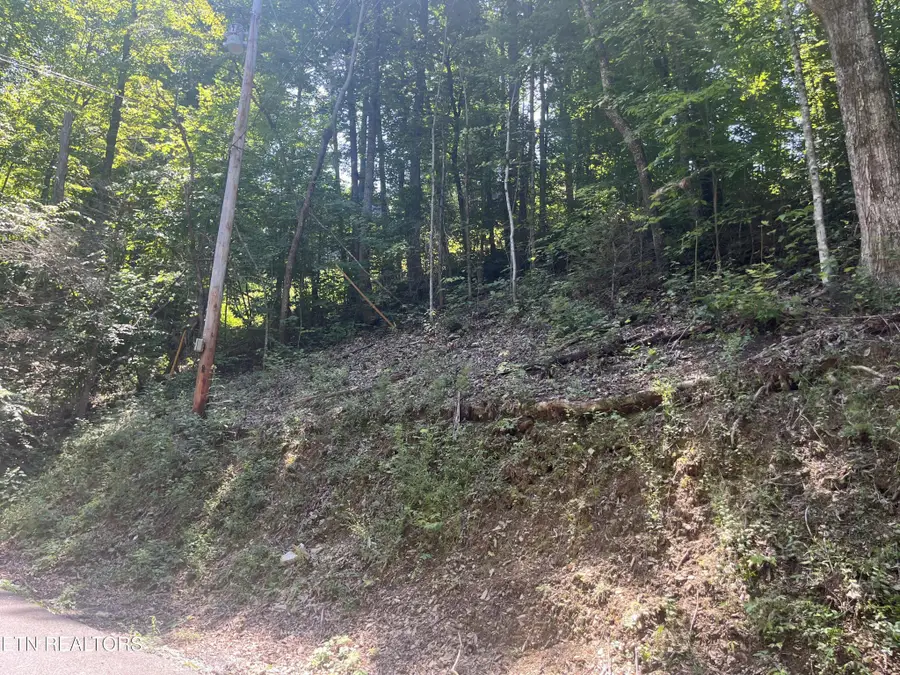 331 Ridgefield Drive, Sevierville, TN 37876 - #3