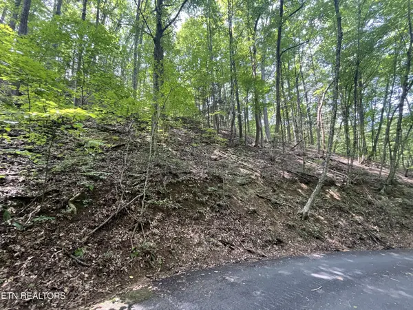 334 Ridgefield Drive, Sevierville, TN 37876