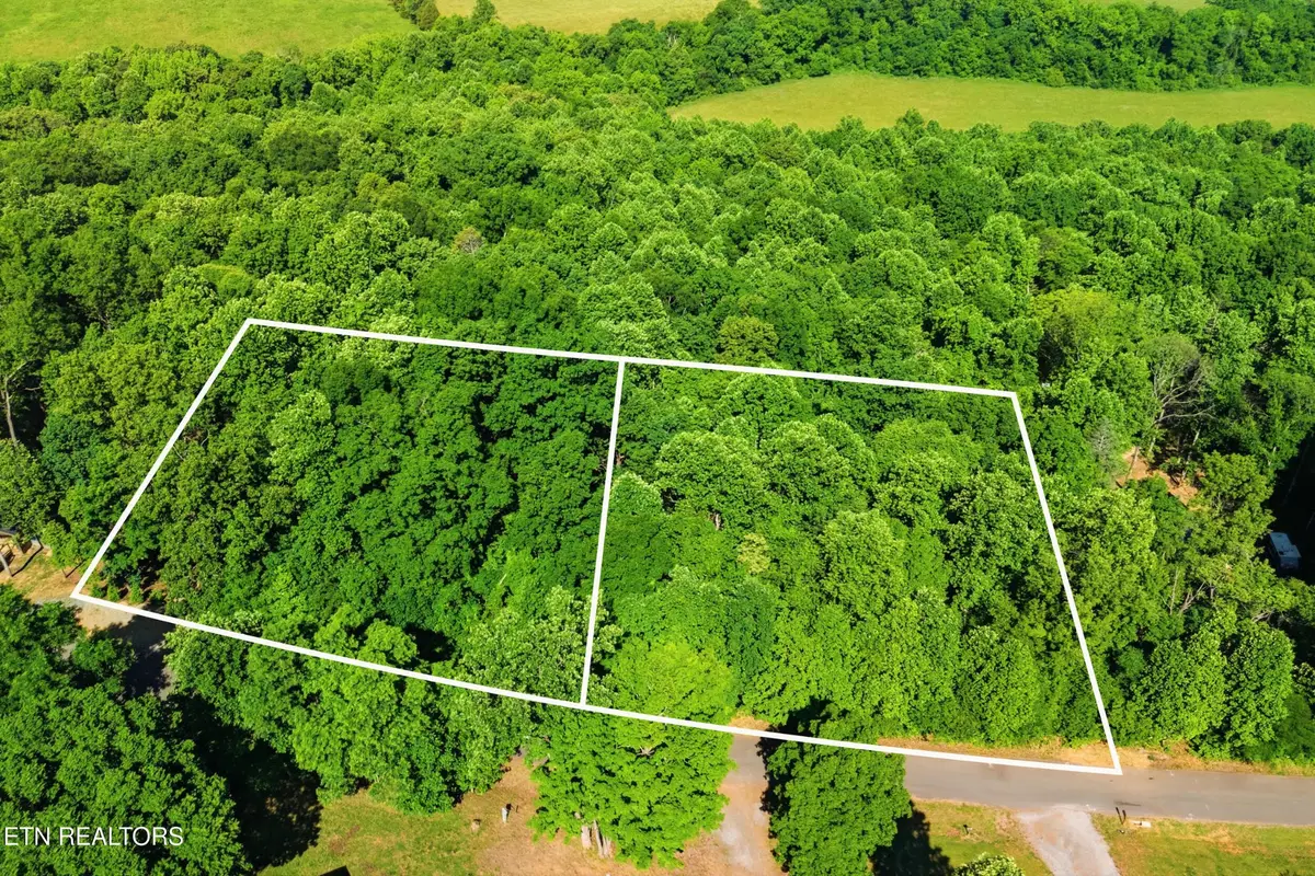 3233 Stevia Way, Cosby, TN 37722 - #1