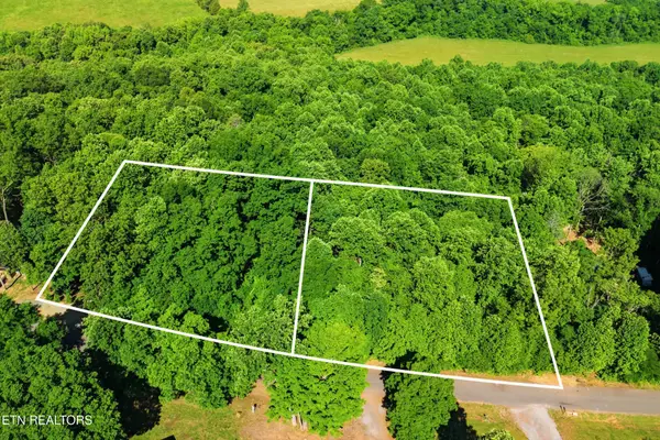 3233 Stevia Way, Cosby, TN 37722