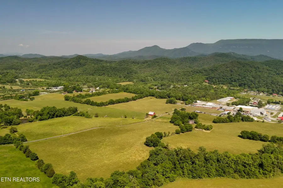 3233 Stevia Way, Cosby, TN 37722 - #2