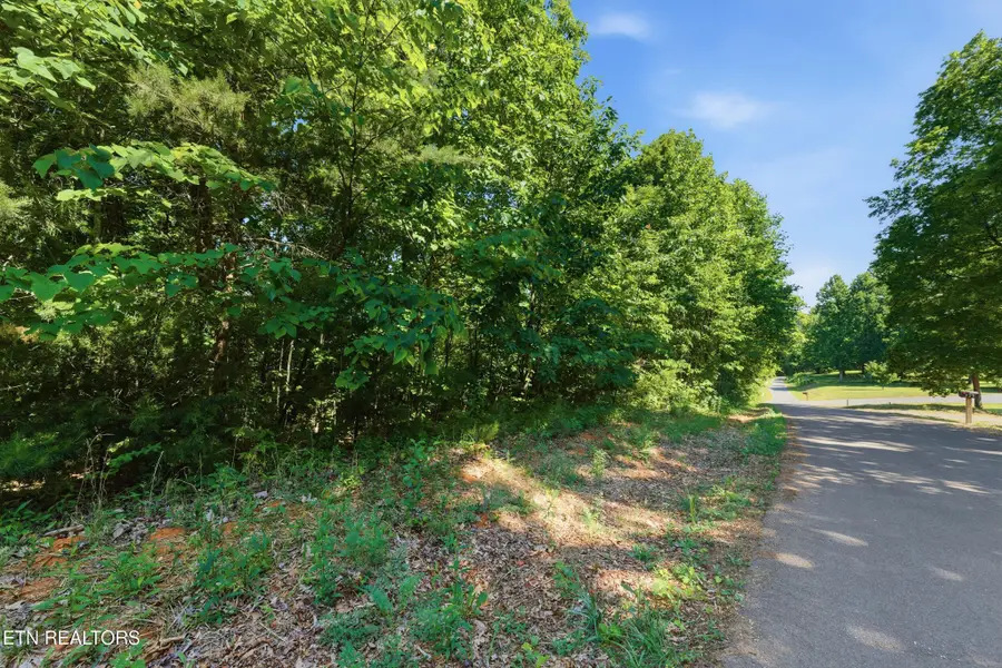 3233 Stevia Way, Cosby, TN 37722 - #3