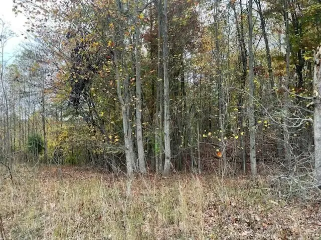 580 Preservation Drive, South Pittsburg, TN 37380 - #3