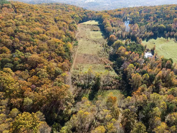 3557 Dayton Mountain Hwy, Dayton, TN 37321