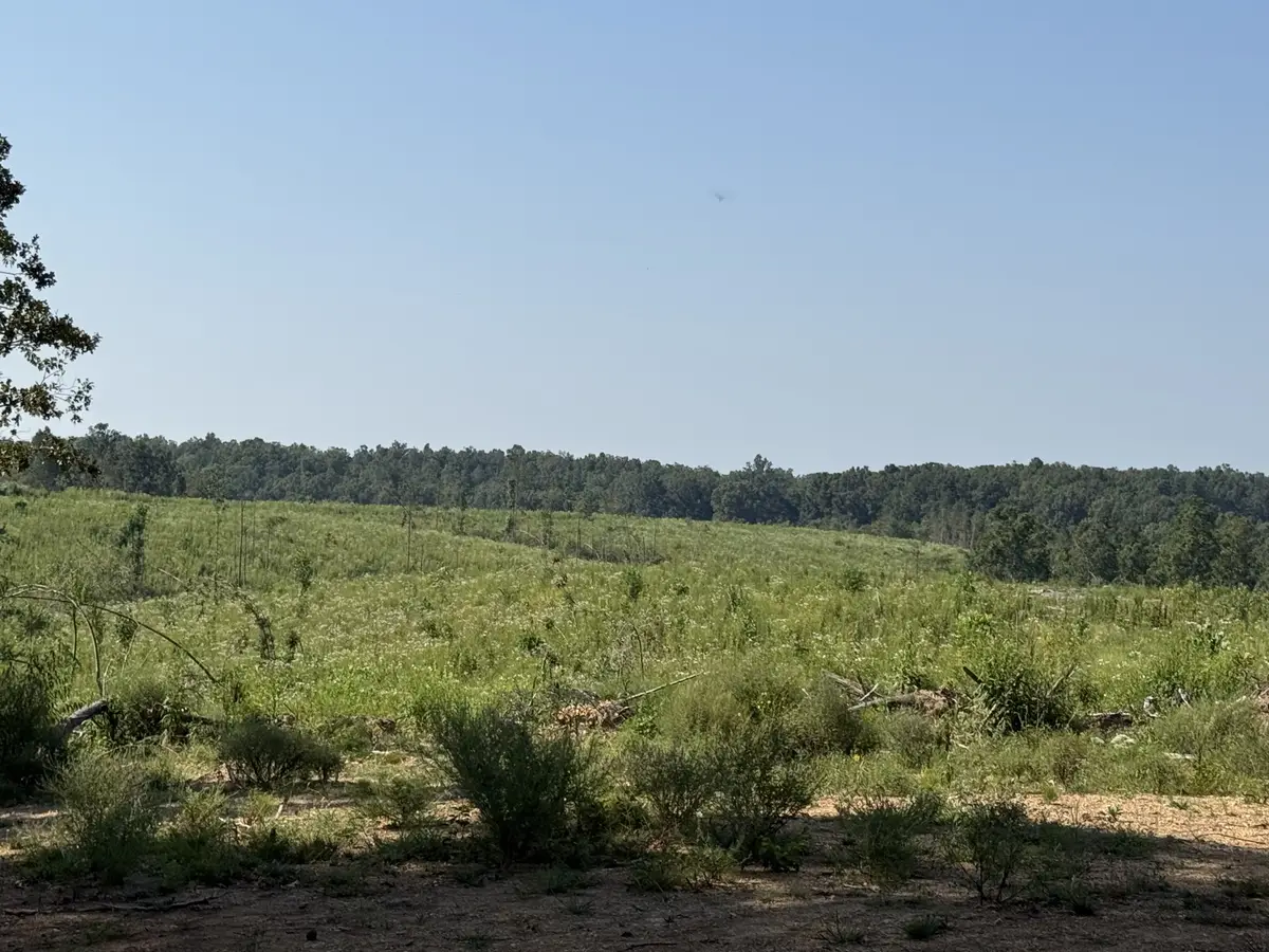 0 Linden Hwy, Hohenwald, TN 38462 - #1