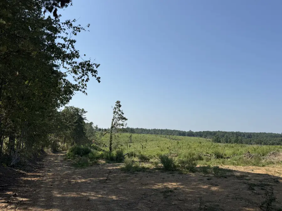 0 Linden Hwy, Hohenwald, TN 38462 - #3