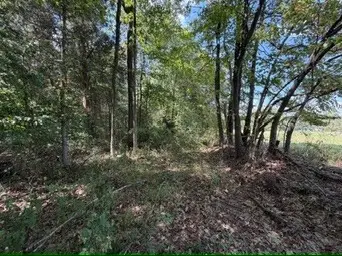 1970 Graham Cypress Rd, Greenville, KY 42345