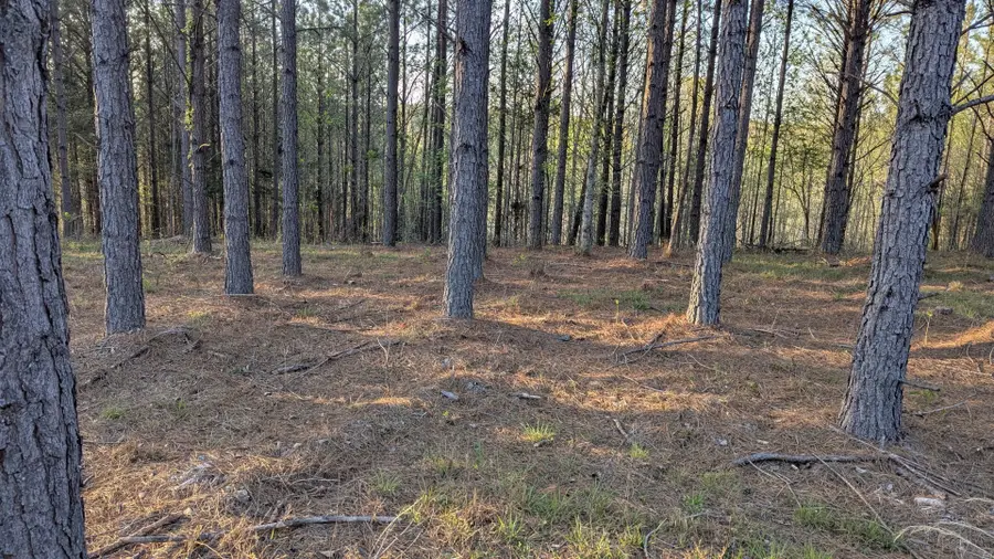 628 Starlight Dr, Linden, TN 37096 - #3