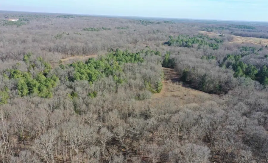 0 Austin Springs Rd, Dukedom, TN 38226 - #2