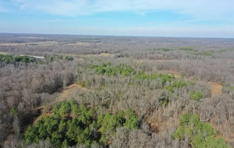 0 Austin Springs Rd, Dukedom, TN 38226 - #3