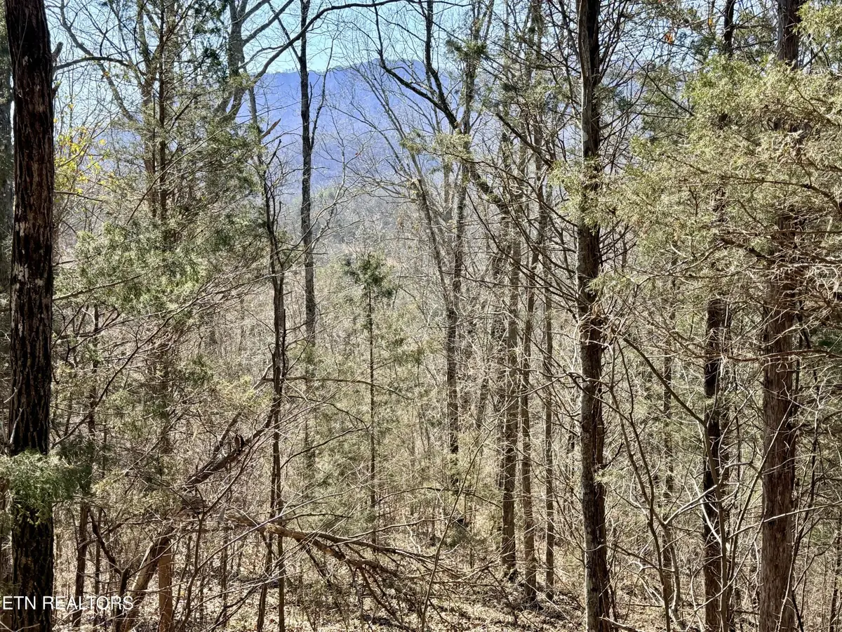 0 Sugar Loaf Rd, Sevierville, TN 37876 - #1