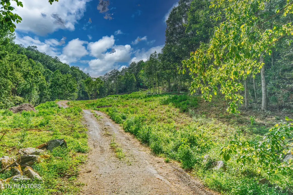 1670 Jobey Green Hollow Rd, Sevierville, TN 37876 - #1