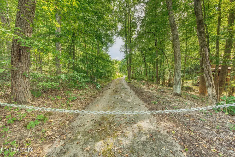 1670 Jobey Green Hollow Rd, Sevierville, TN 37876 - #3
