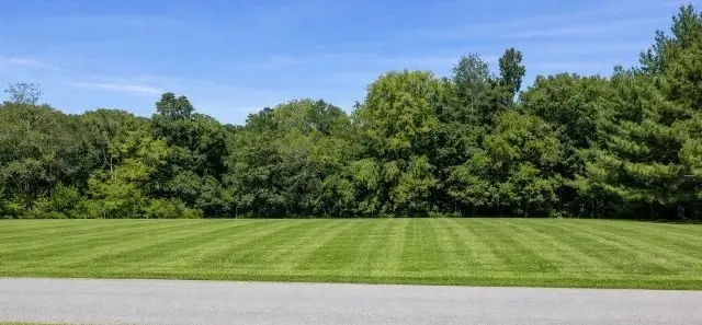 3956 Martins Chapel Rd, Springfield, TN 37172 - #2