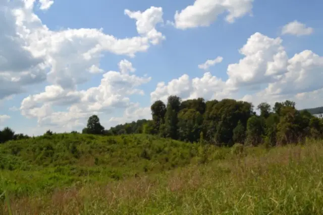 0 Landing Lane, Smithville, TN 37166 - #3