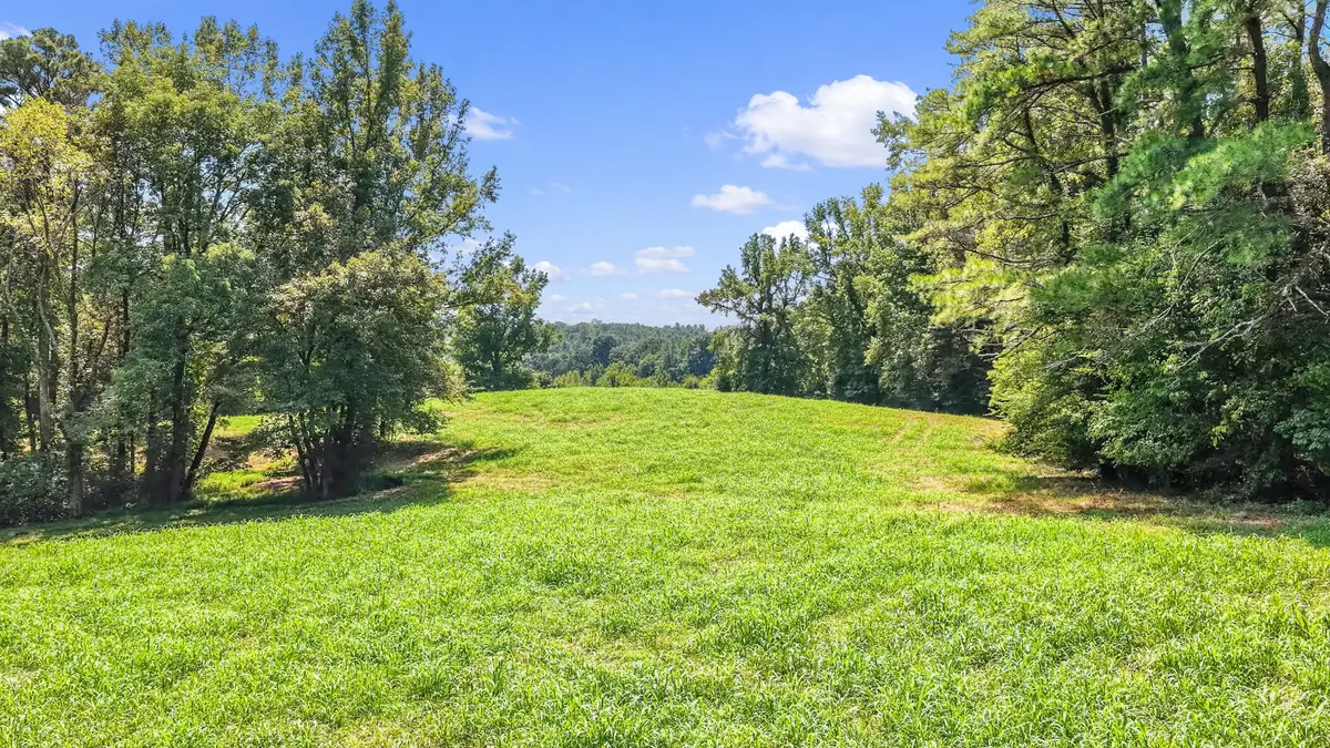 9960 Darden Christian Chapel Rd, Wildersville, TN 38388 - #1