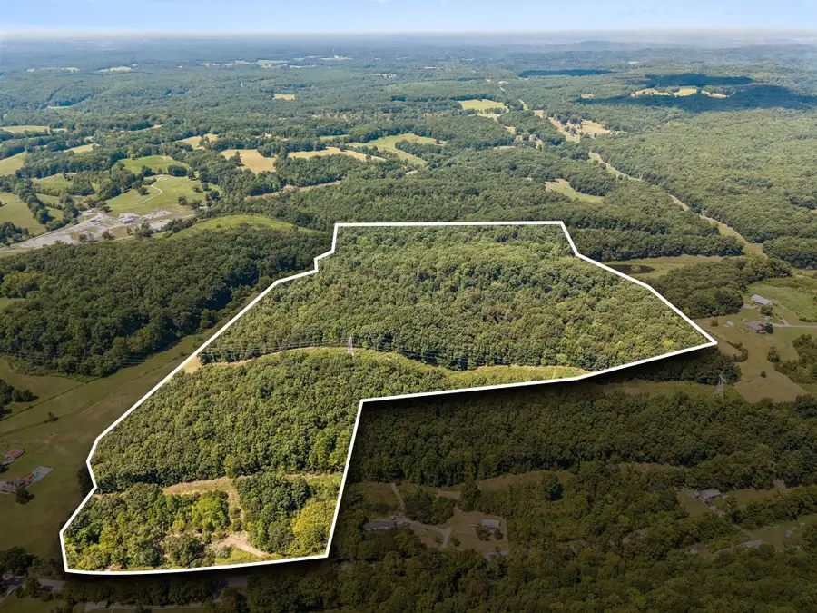 5877 Campbellsville Pike, Lynnville, TN 38472 - #2