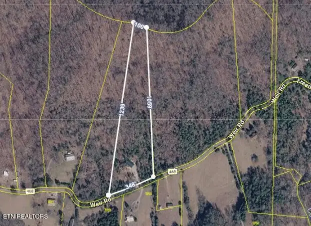 239 County Road 468, Englewood, TN 37329 - #3