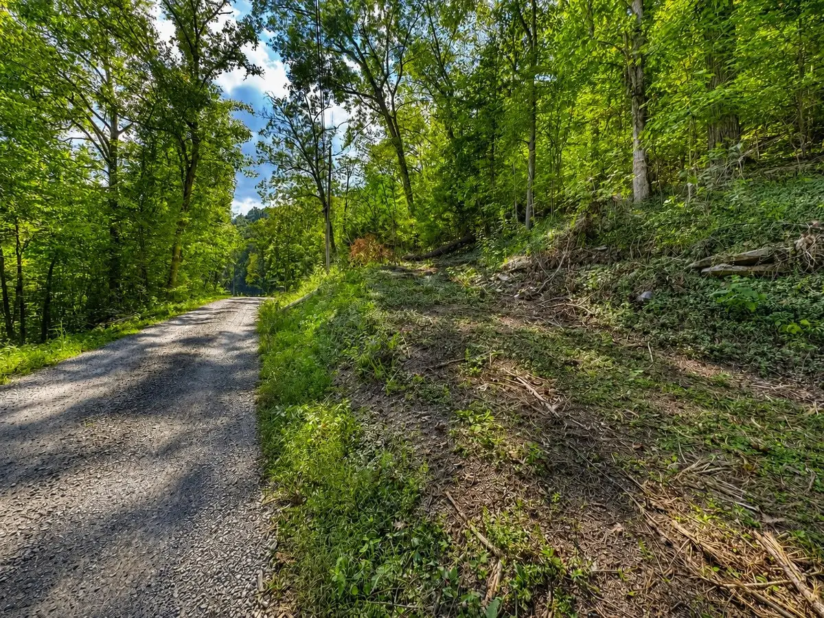 0 Halls Hollow Rd, Smithville, TN 37166 - #1