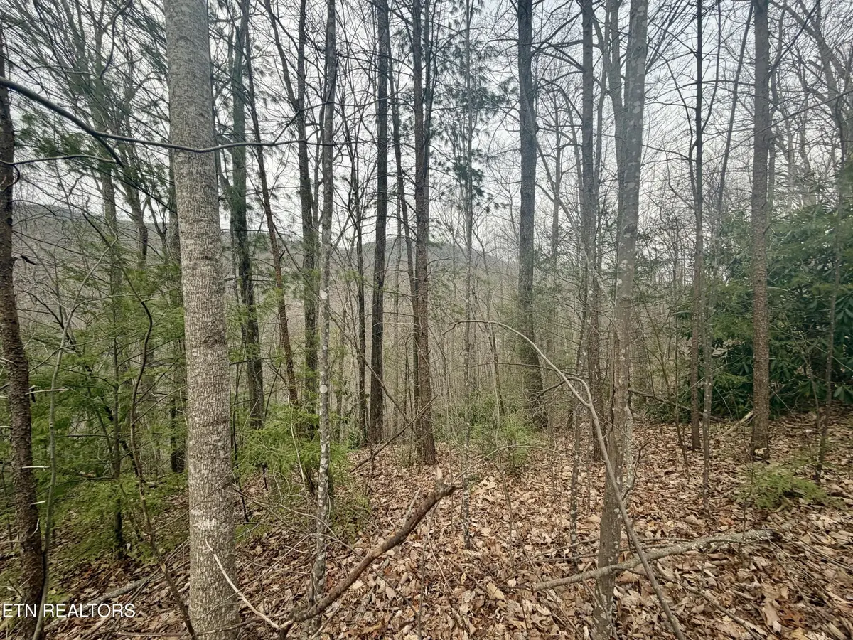 0 Thissa Way, Gatlinburg, TN 37738 - #1