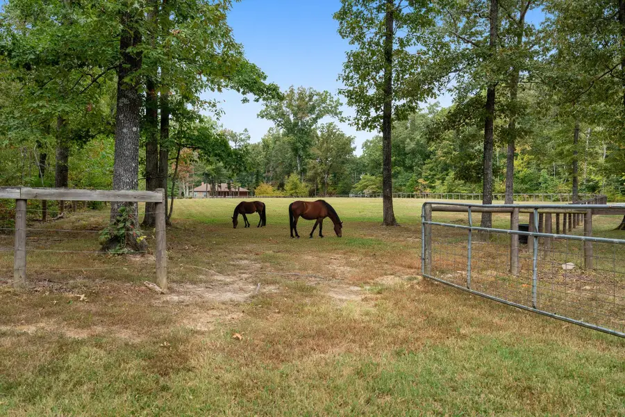 7283 Kingston Rd, Fairview, TN 37062 - #3