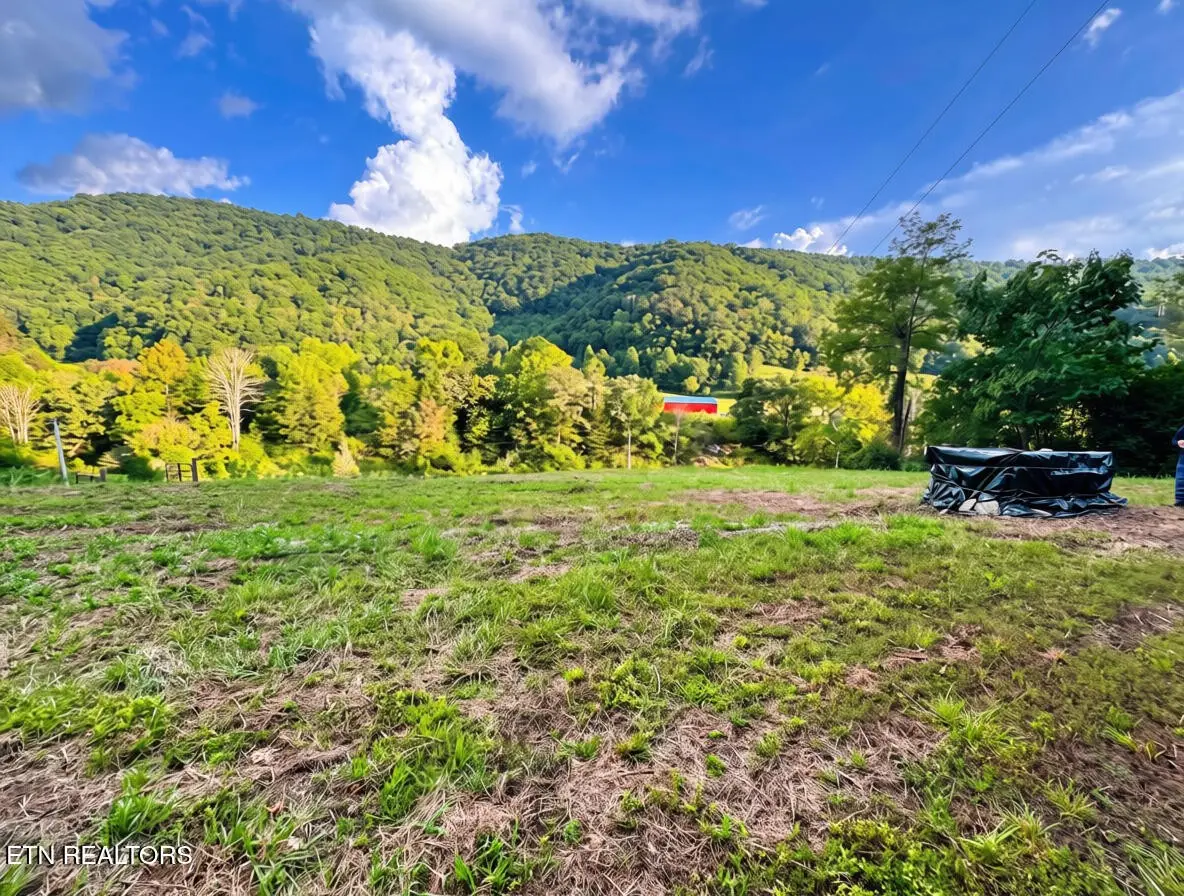 601 Vardy Blackwater Rd, Sneedville, TN 37869 - #1