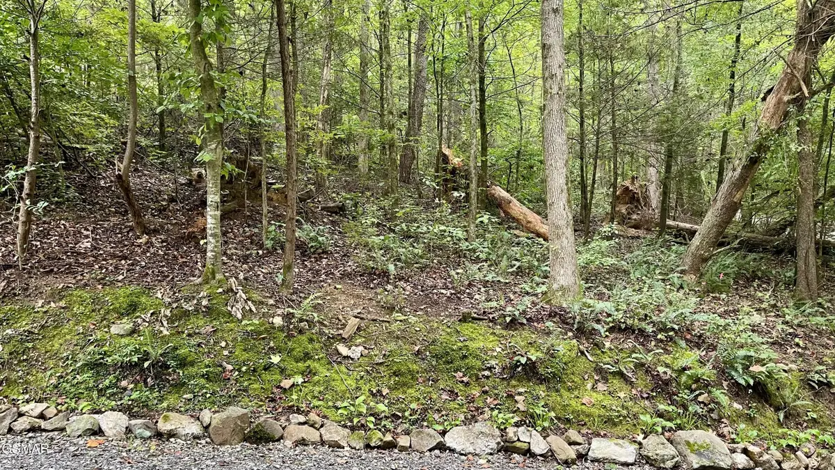28 Walden Cove Way, Sevierville, TN 37862 - #1