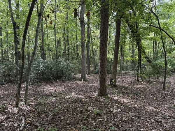 6 Tanner Drive, Monterey, TN 38574
