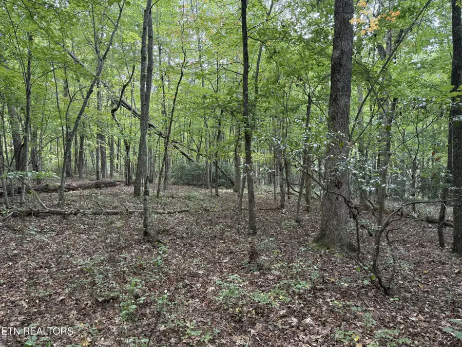 6 Tanner Drive, Monterey, TN 38574 - #2