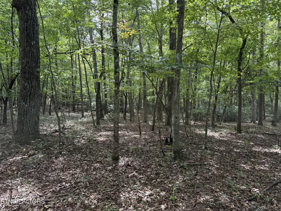 6 Tanner Drive, Monterey, TN 38574 - #3
