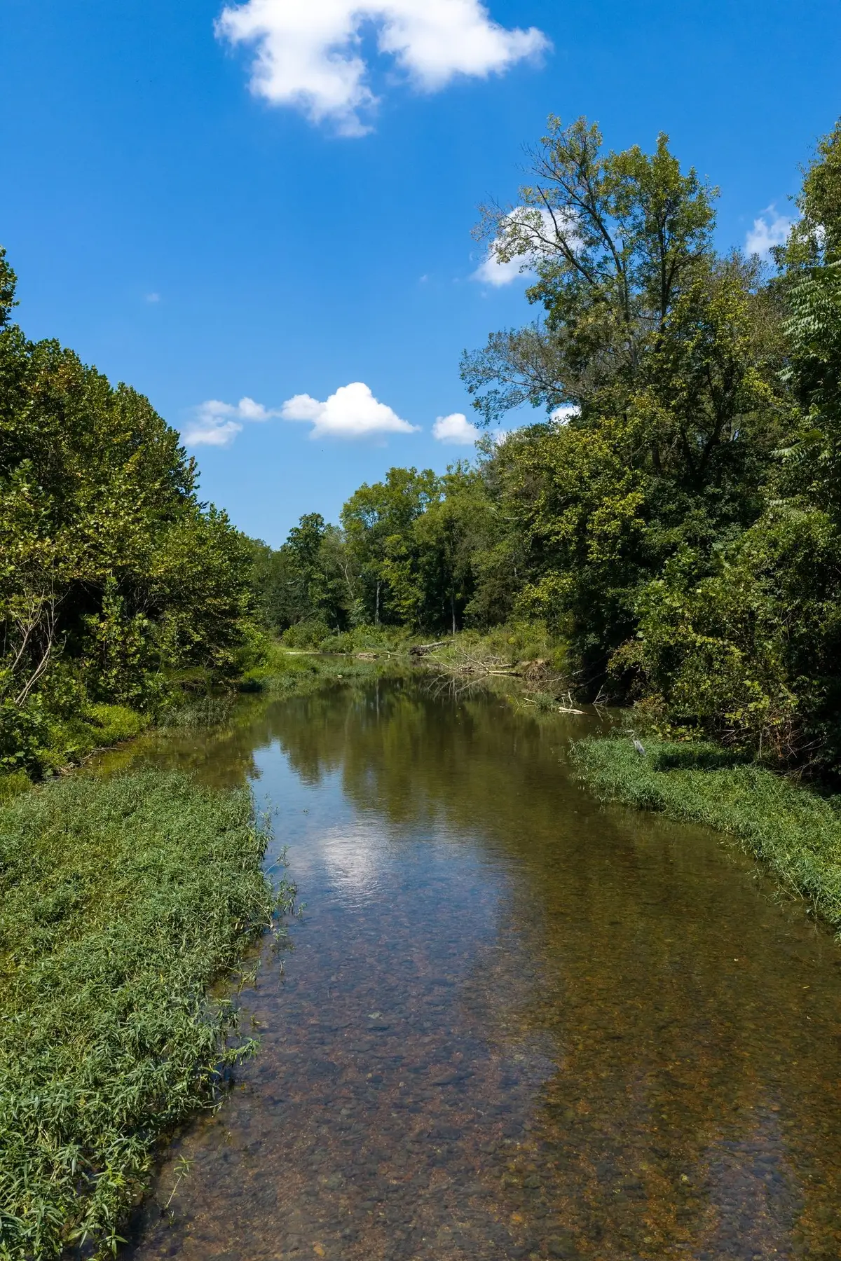 0 South Bear Creek, Erin, TN 37061 - #1