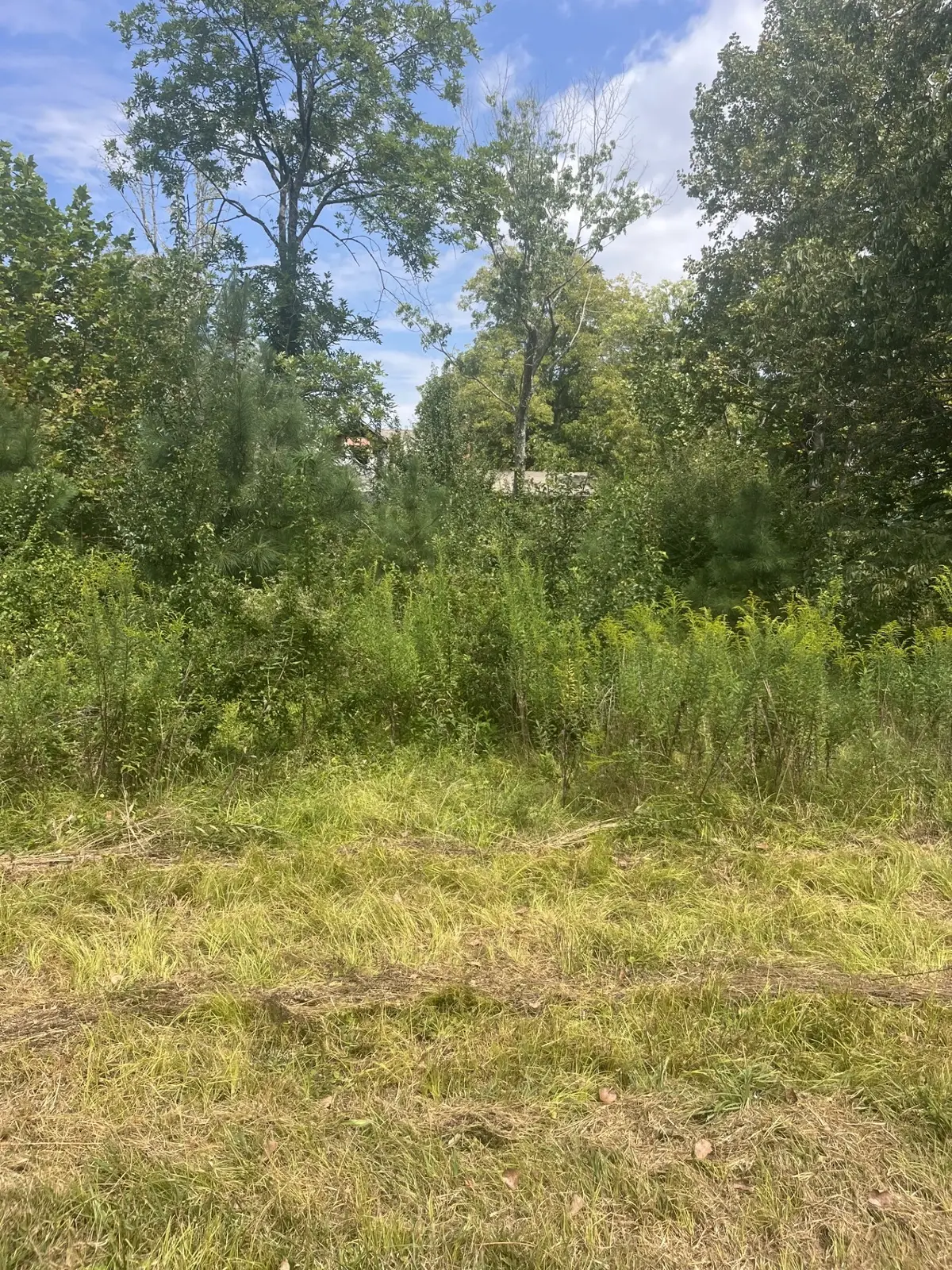 2460 Prospect School Rd Nw, Cleveland, TN 37312 - #1