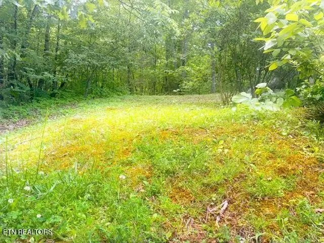 0 Paradise Ridge Drive, Sevierville, TN 37862 - #3