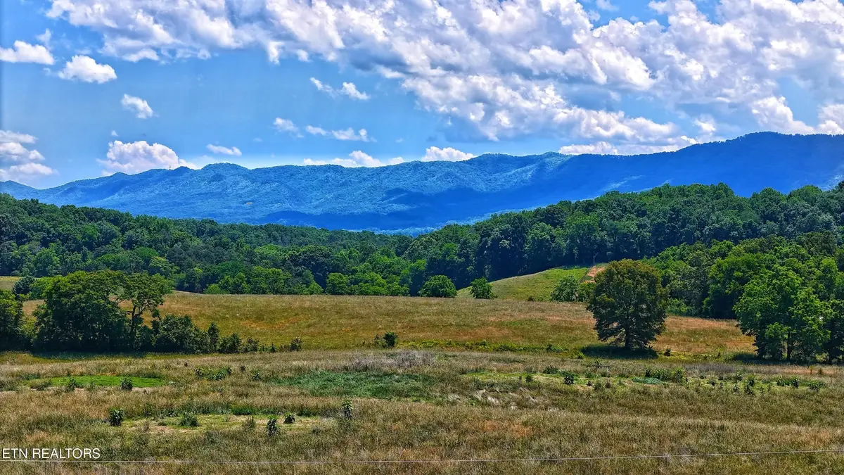 251 Cloud Way, Parrottsville, TN 37843 - #1