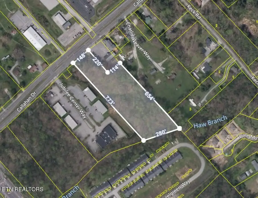 1342 Callahan Drive, Knoxville, TN 37912 - #1