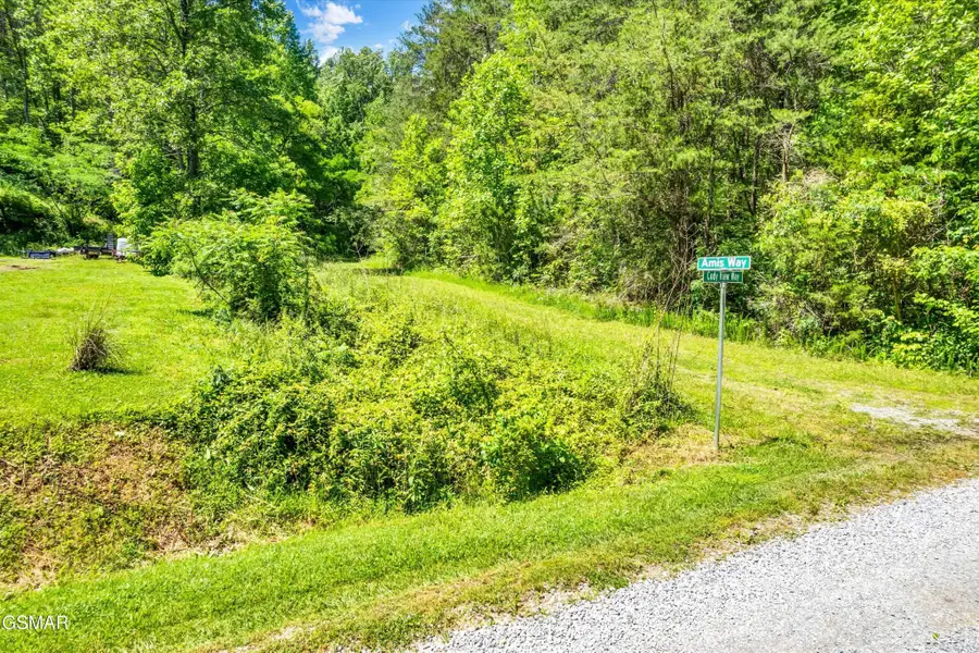 5 Amis Way, Sevierville, TN 37876 - #2