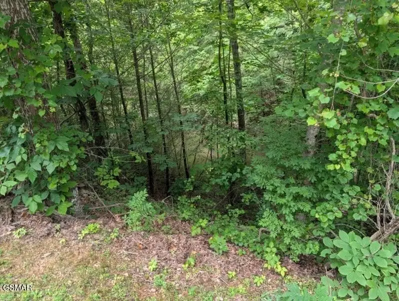 0 Ski Mtn Rd, Gatlinburg, TN 37738 - #2