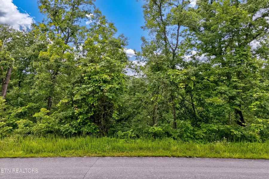 0 Tranquility Tr, Dandridge, TN 37725 - #2